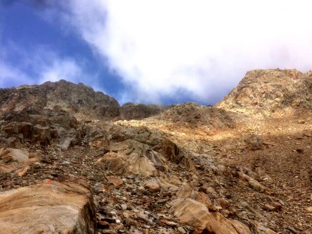 Roter Knopf Nationalpark Hohe Tauern